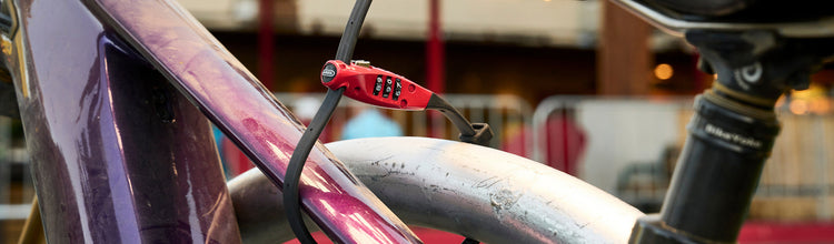 bike locked with Comblifex Travelguard