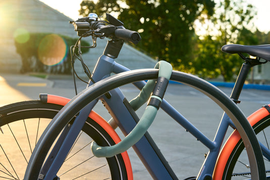 Mint Goose Lock 6206 securing blue and orange e-bike to rack.